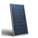 Placa solar policristalina 160Wp/12V