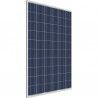 Módulo Solar / panel solar policristalino LLGCP 270W/24V